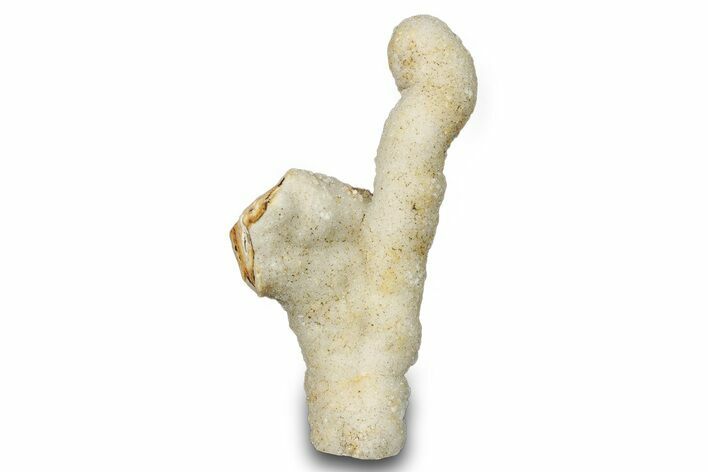 Sparkling Quartz Chalcedony Stalactite Formation - India #274725